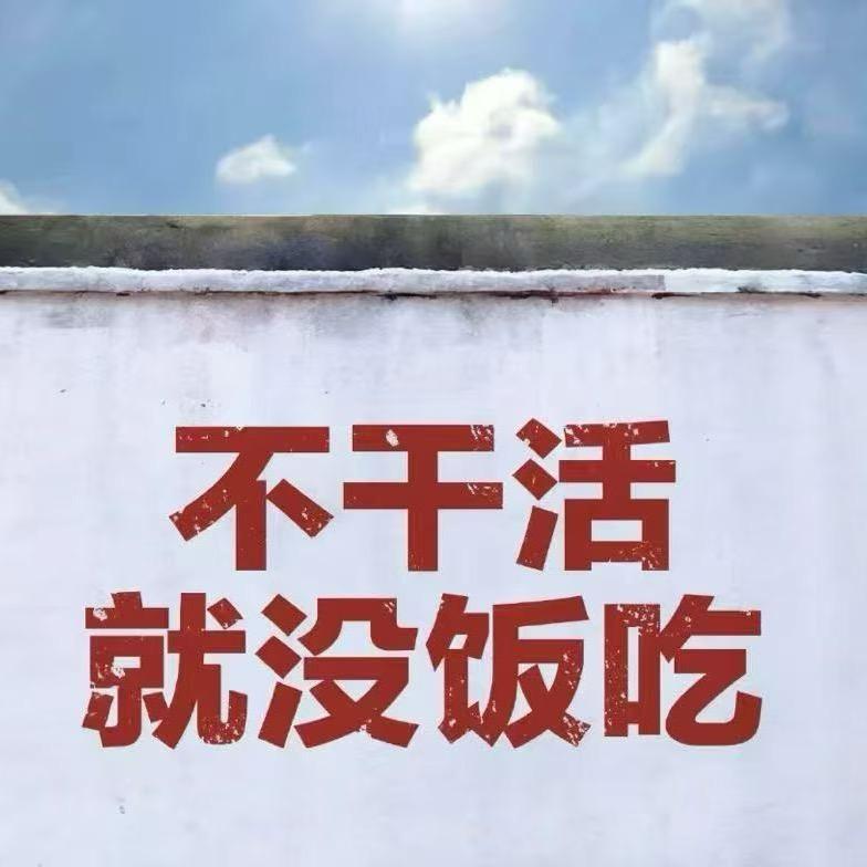 灵儿