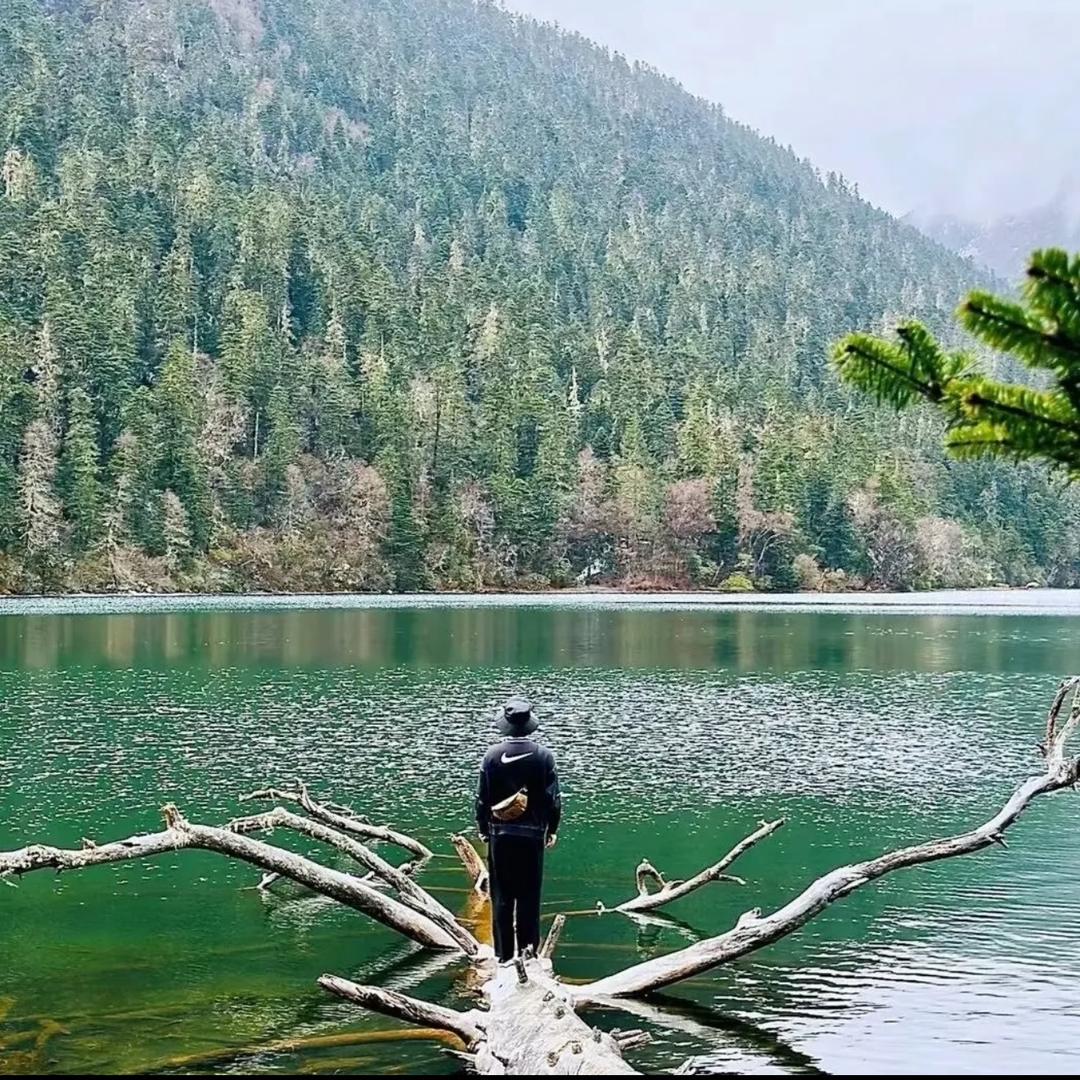 远方.
