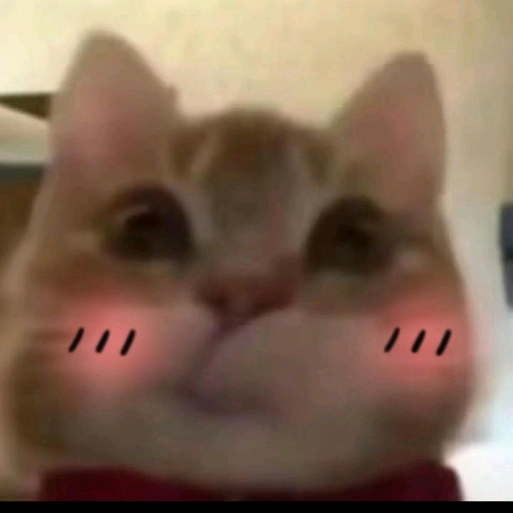 一zhi橙