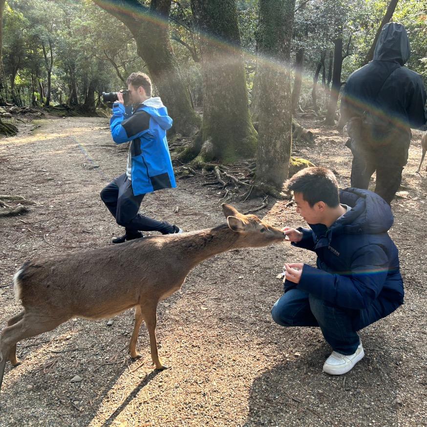 纠结的大白兔🐰
