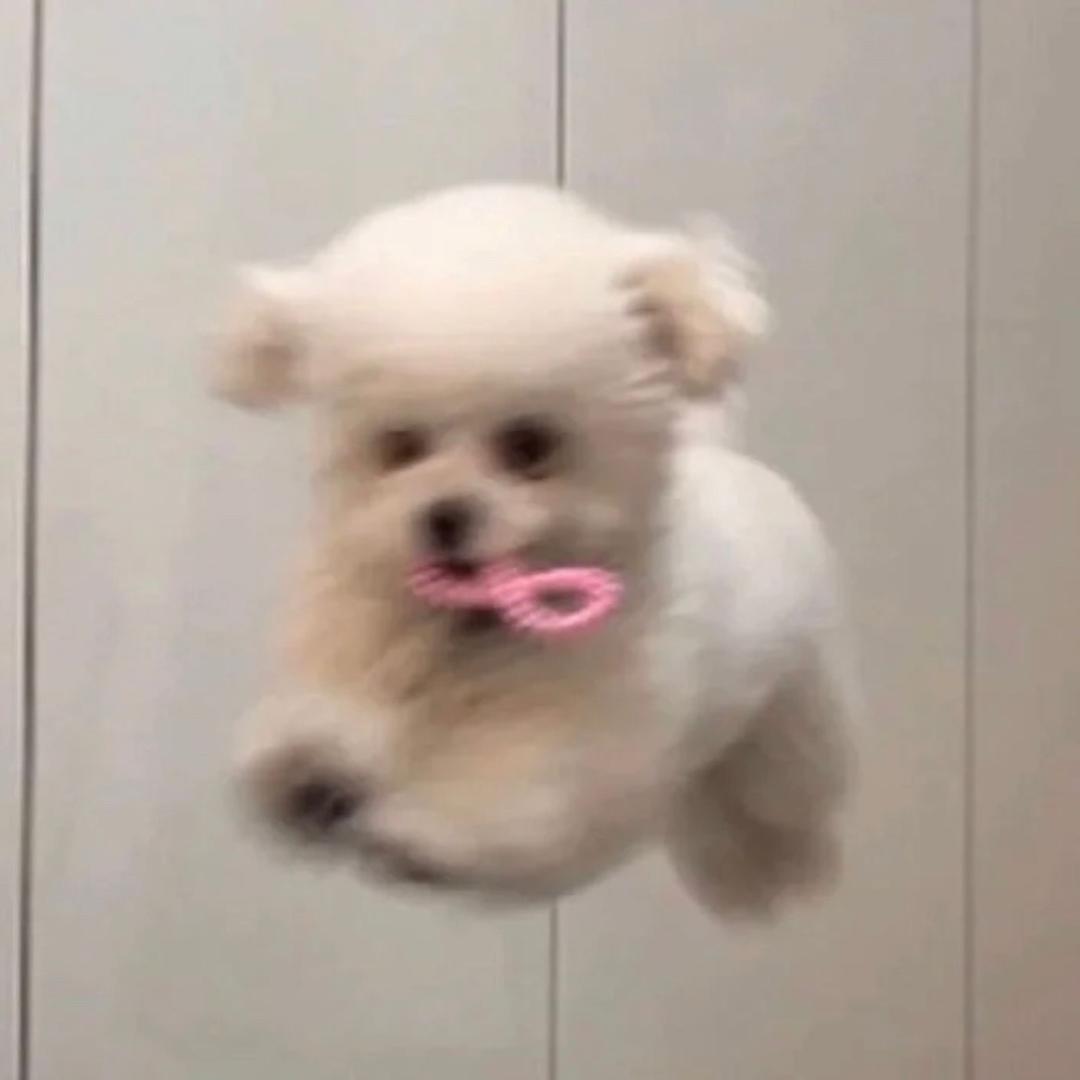 不瘦25斤不买衣服