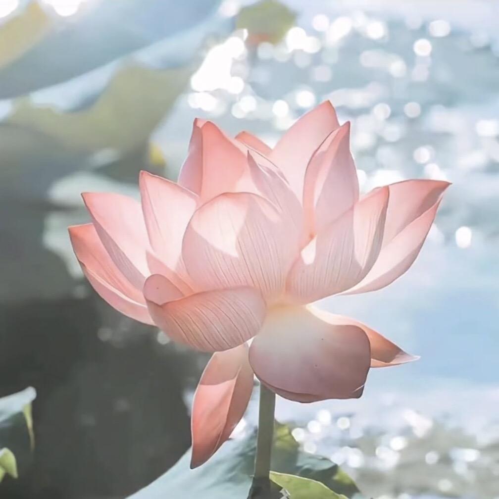 怡麓