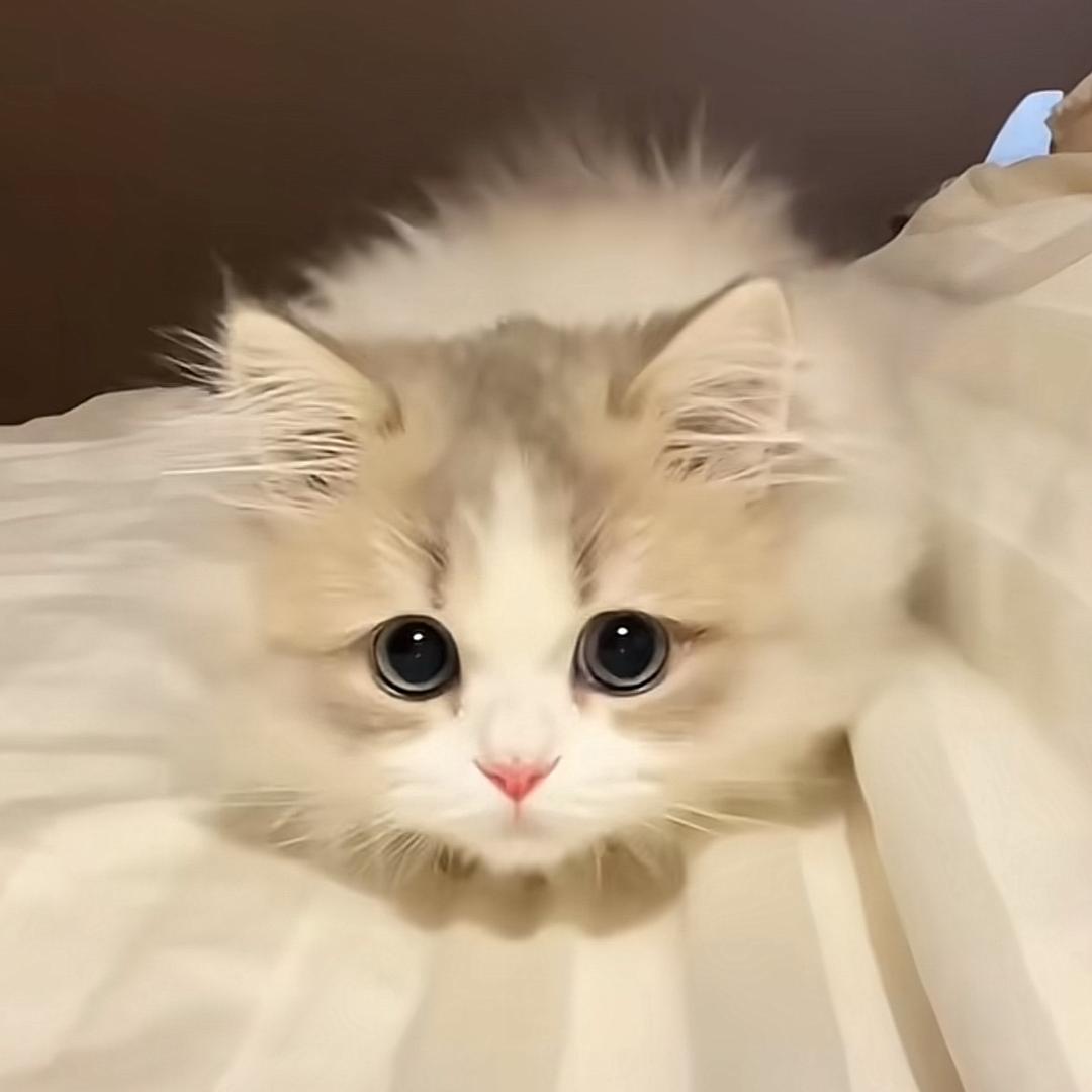 ………..：