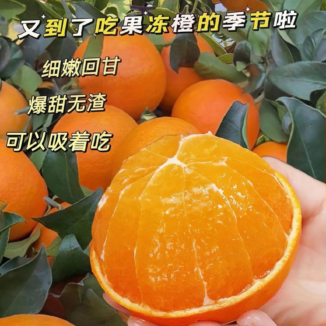 眉山黑龙滩果蔬种植基地