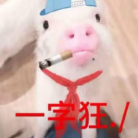 毛蛋