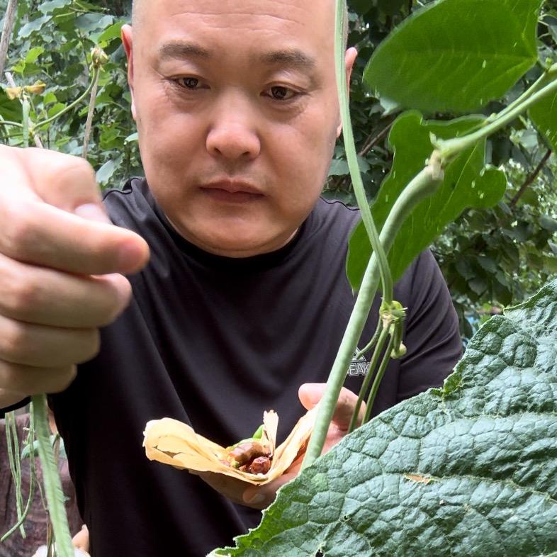 冷漠时光