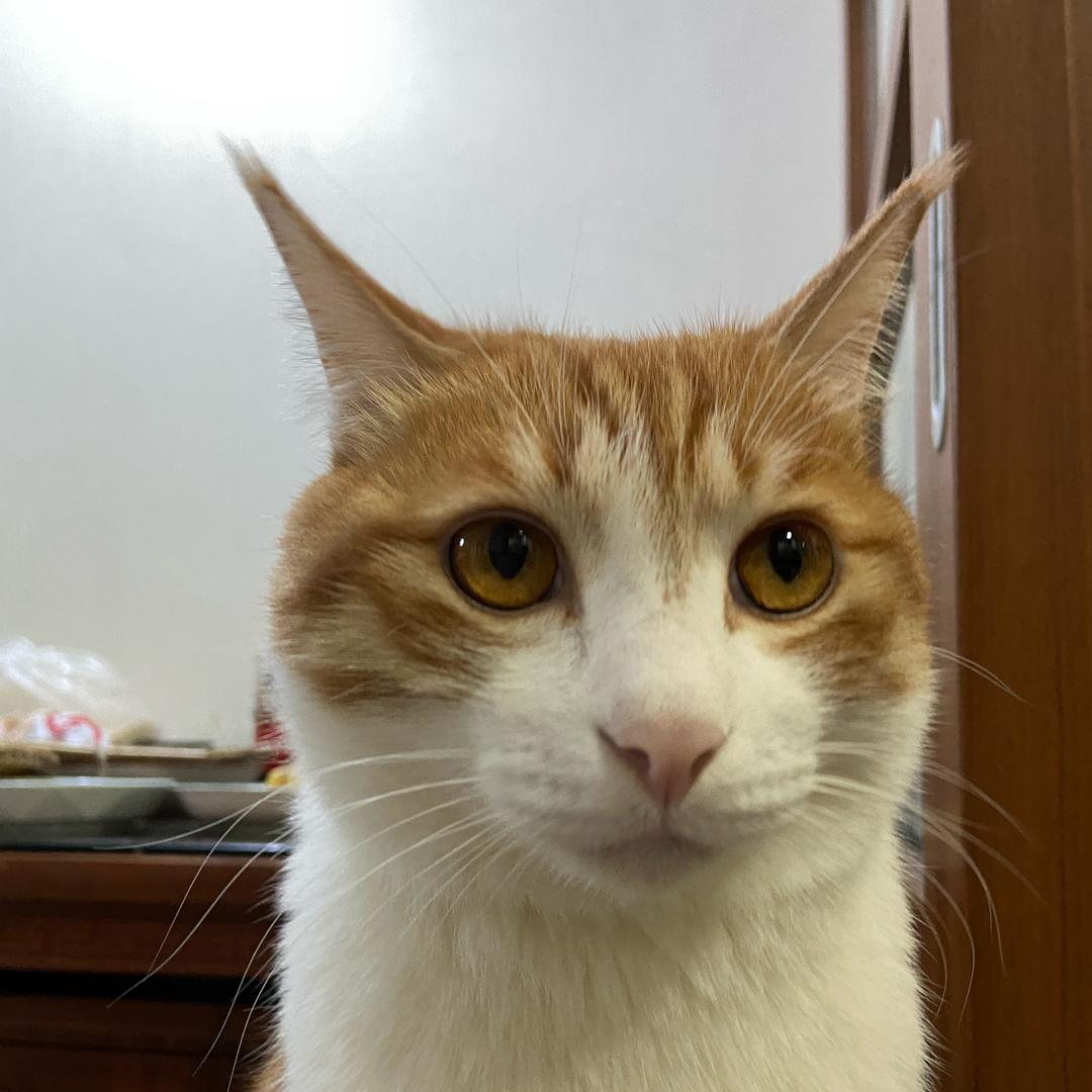 小镇舍长认知觉醒