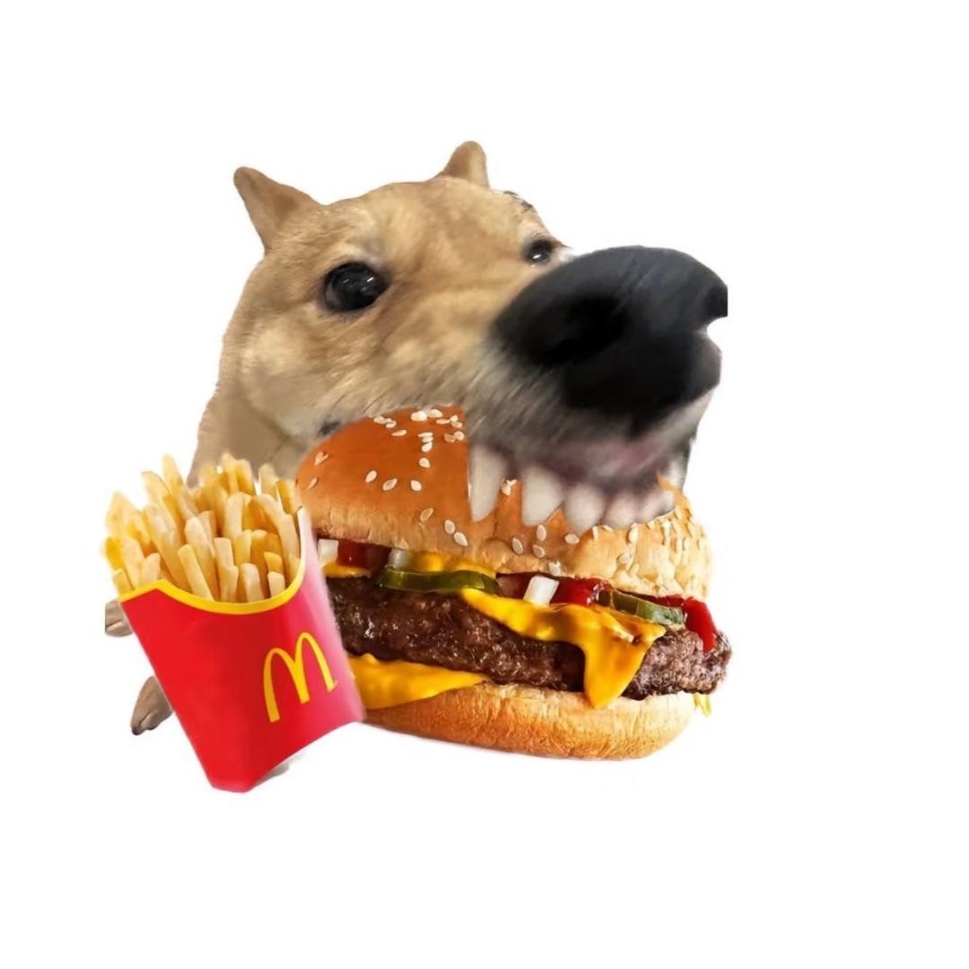 不做食物的奴隶
