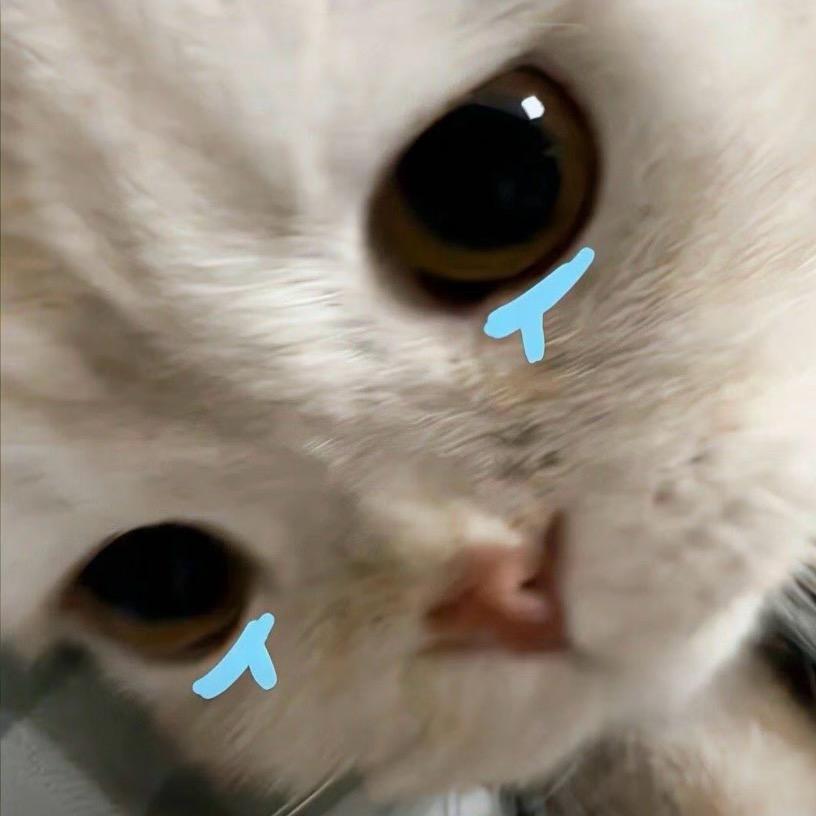 诚