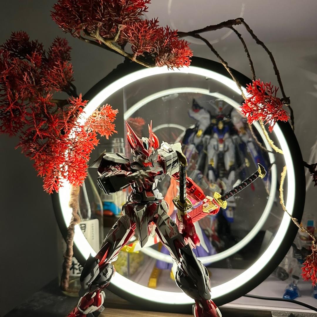 神说要有光