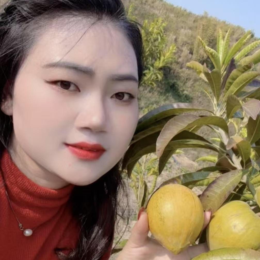 芒市黄缘果苗圃