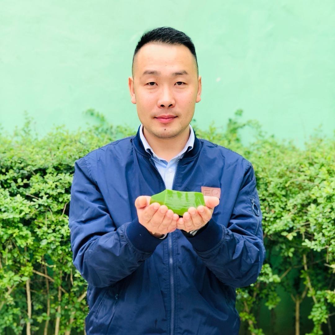 树叶哥哥