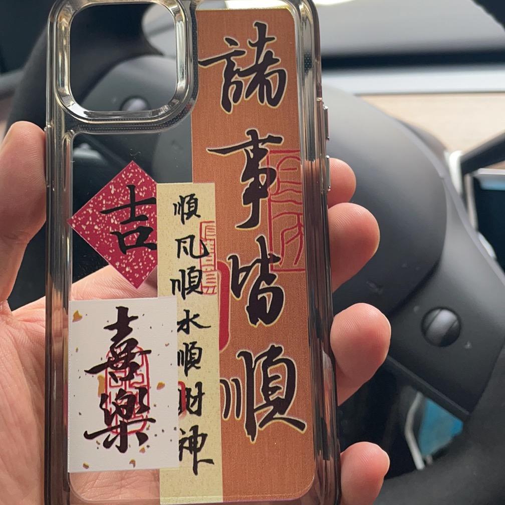 世间少有常青树