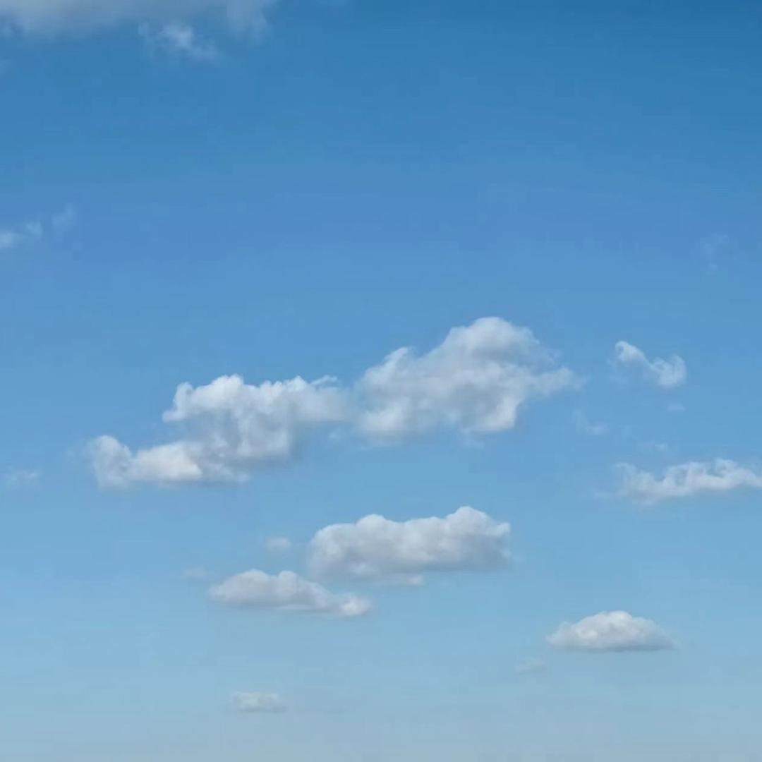 空白