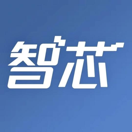 智芯官方旗舰店