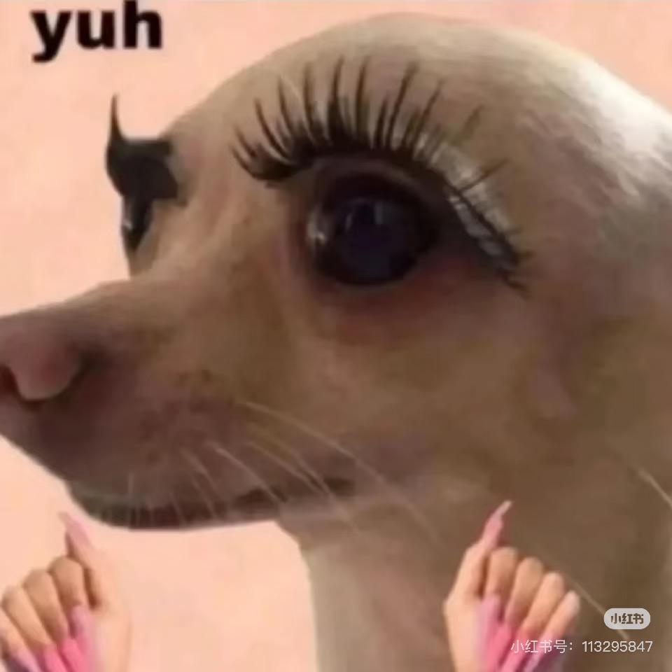 热心嬛嬛