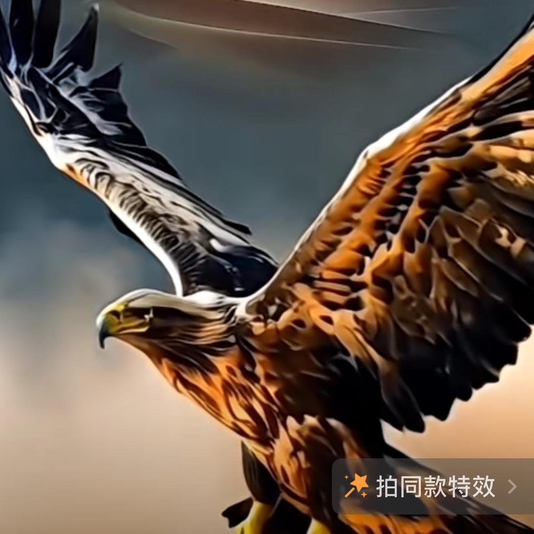 点月亮