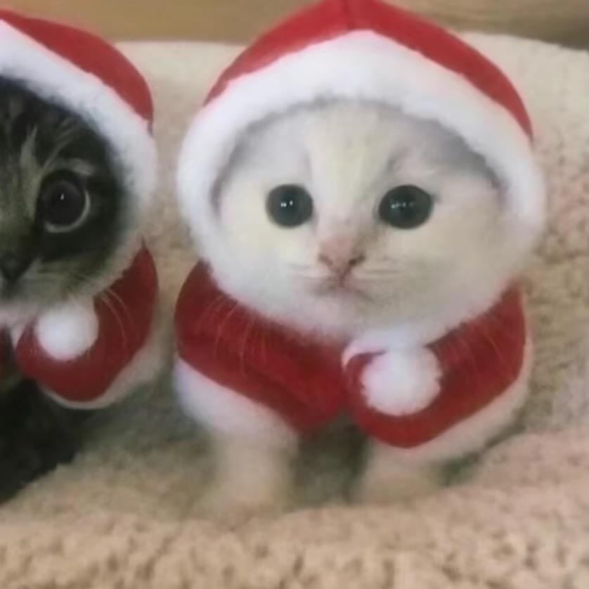 我爱一个置物架