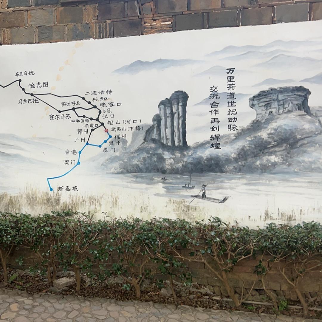 万里茶道武夷红