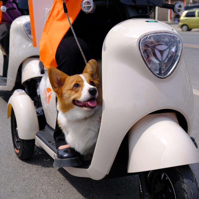 开封雅迪新能源运营中心