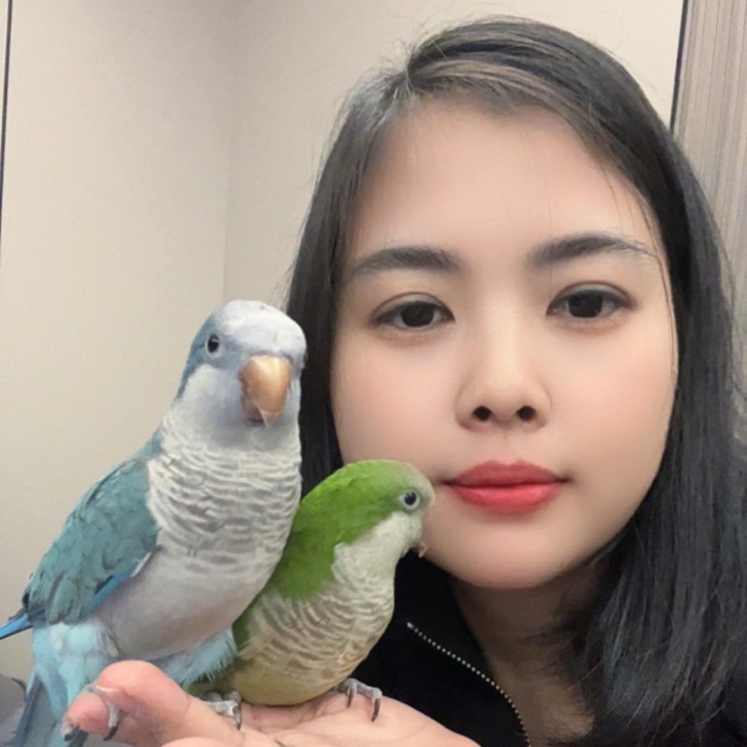 子柒姐姐的日常