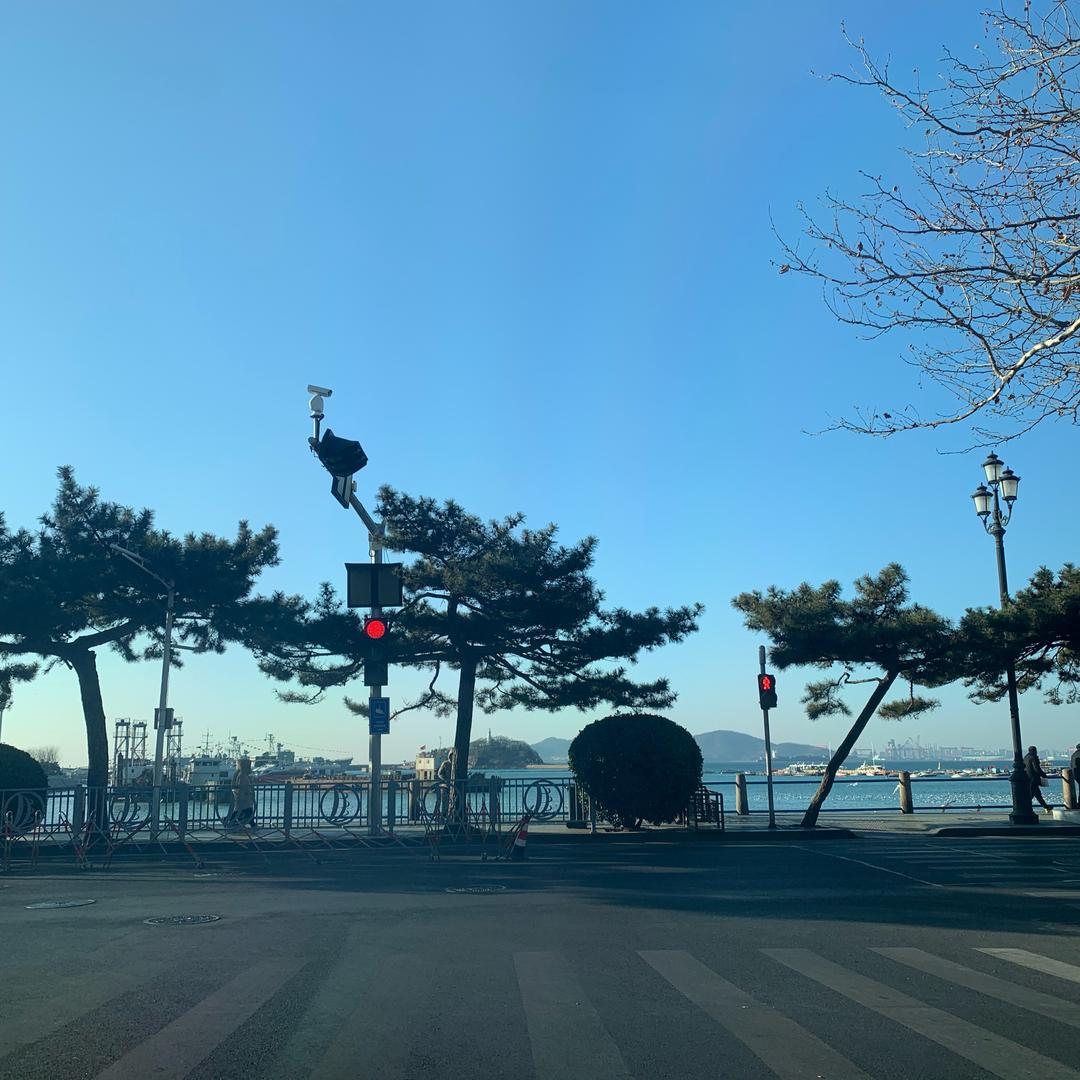 王的日记