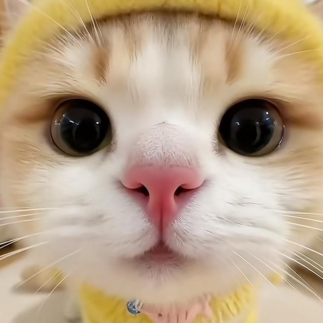 瀚甜
