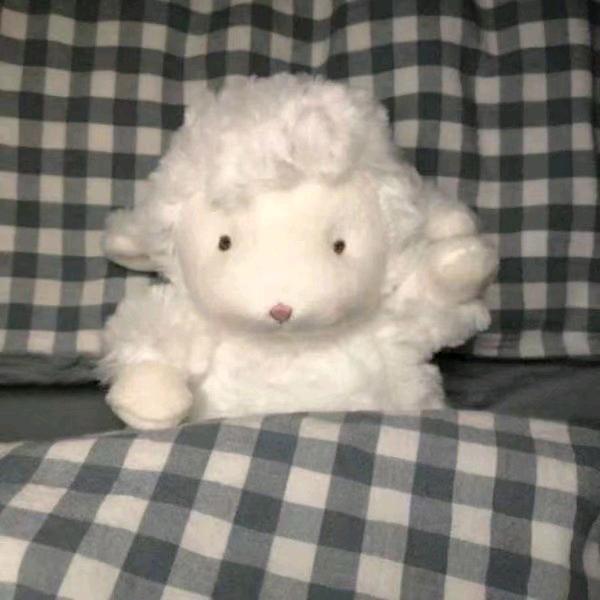咩咩🐏