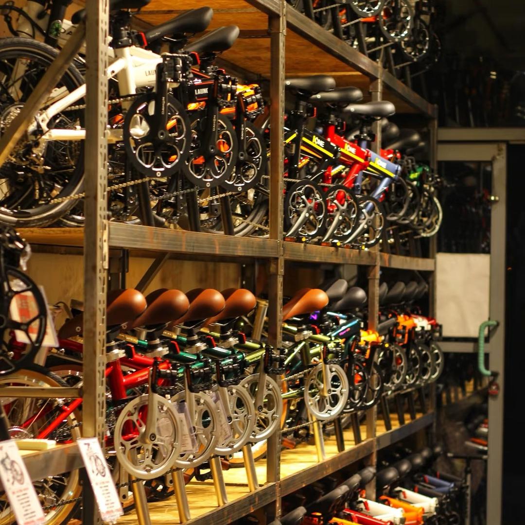 天津梅江大行折叠自行车-骑者单车