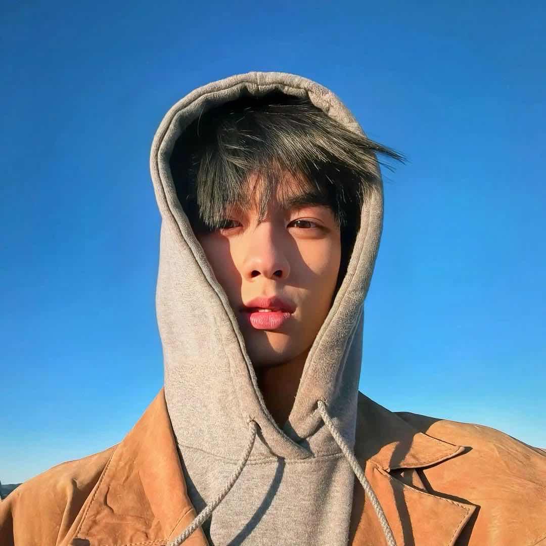 Jin义翔