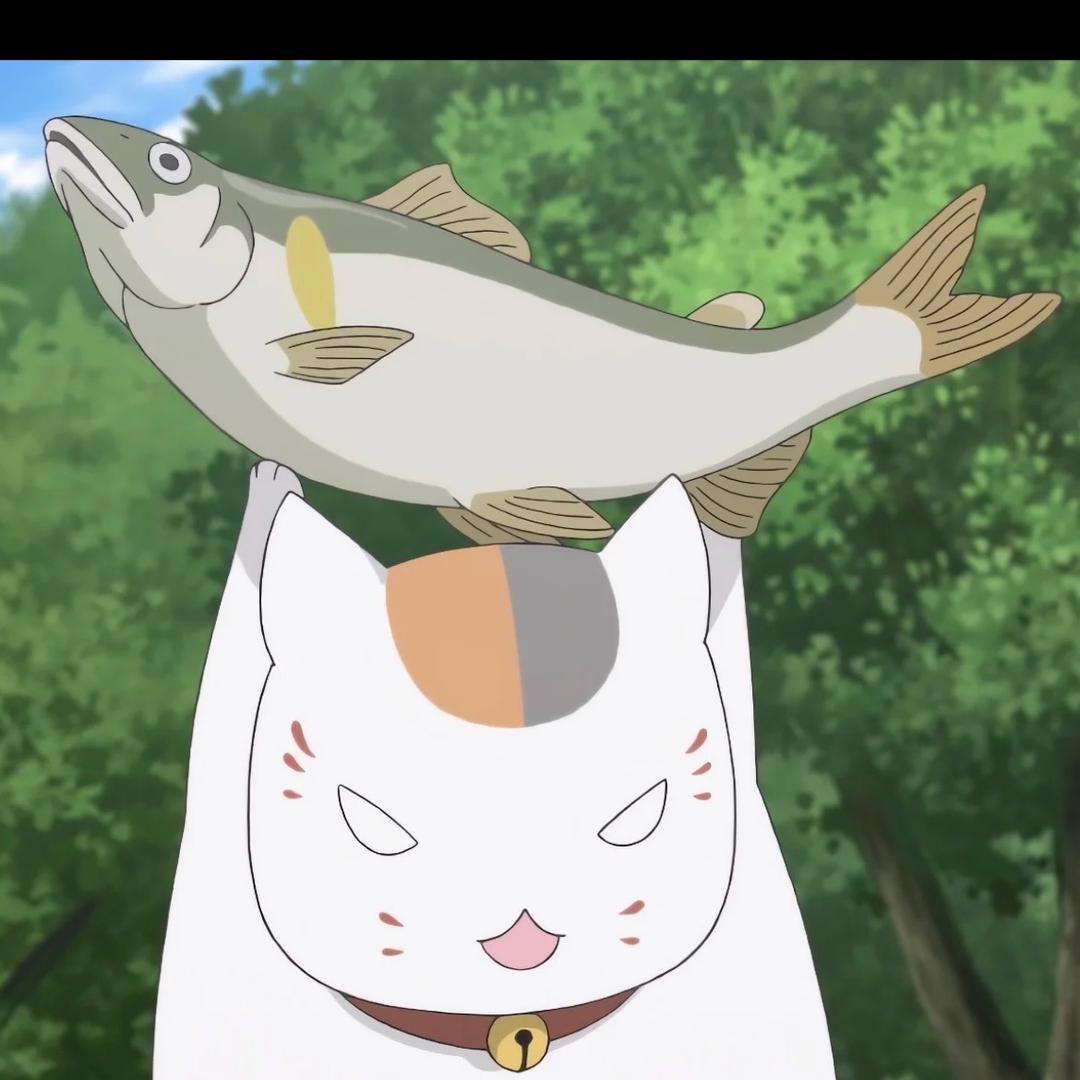 酸奶不吃鱼🐟