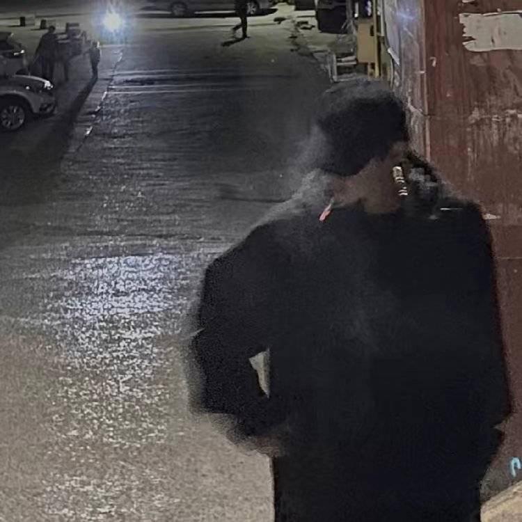 浩不会振刀