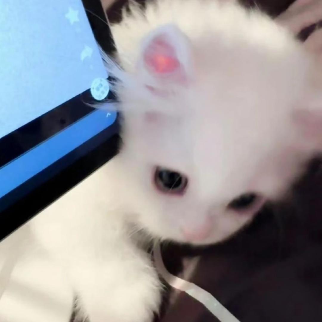 iiuii