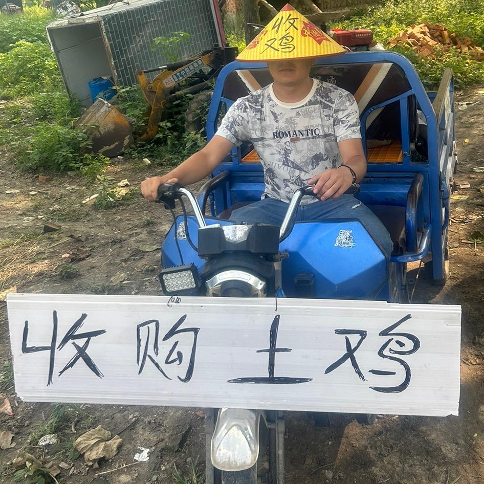 农村人的土特产