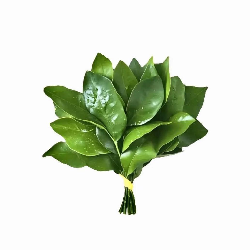 骂我的给我挡灾