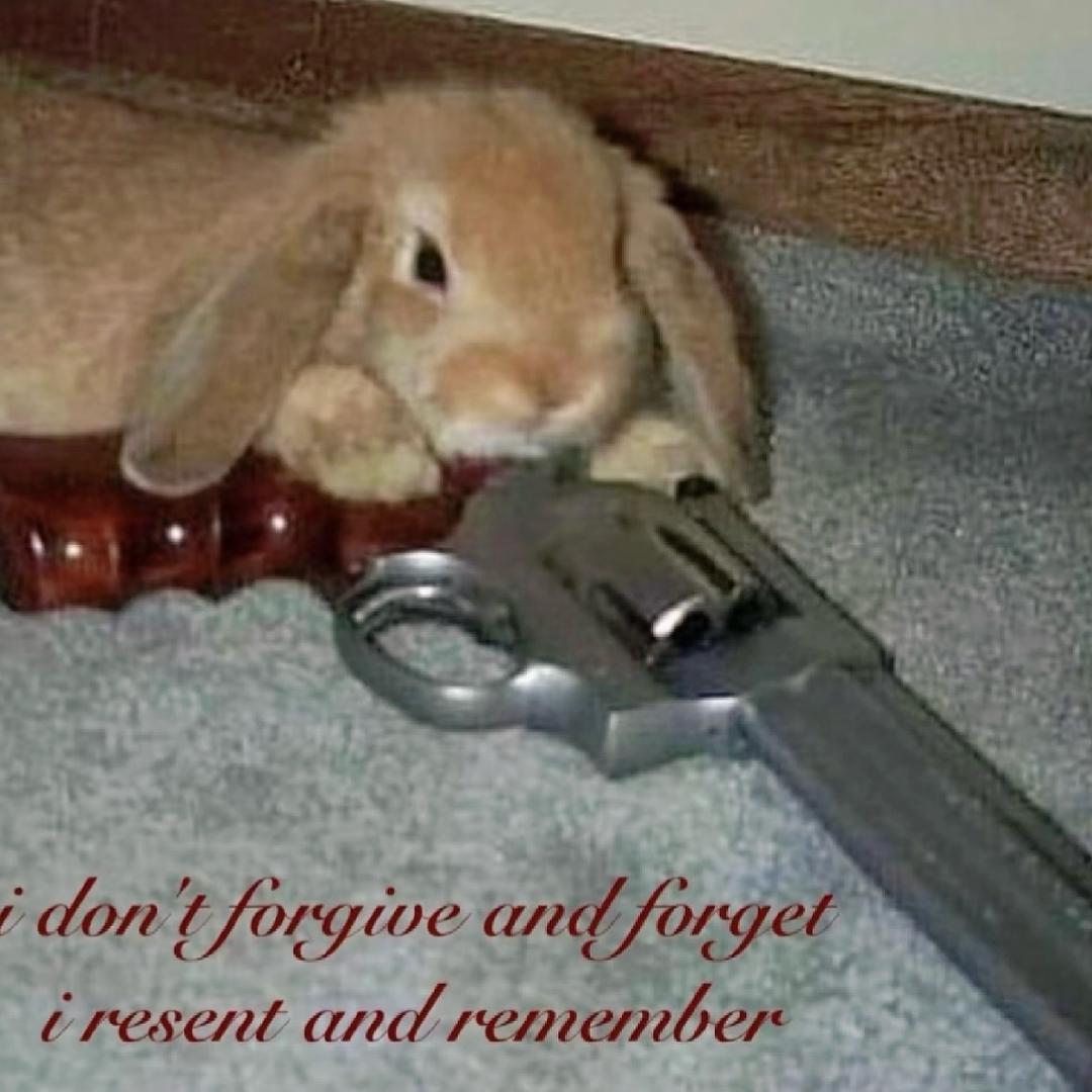 咕噜岛不知名岛主