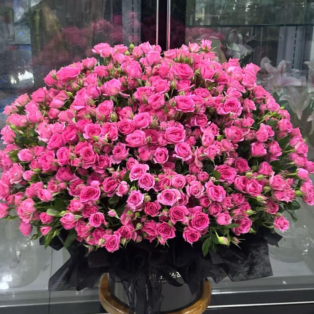 小微🌈🌈🌈🌈梦想成真：加油