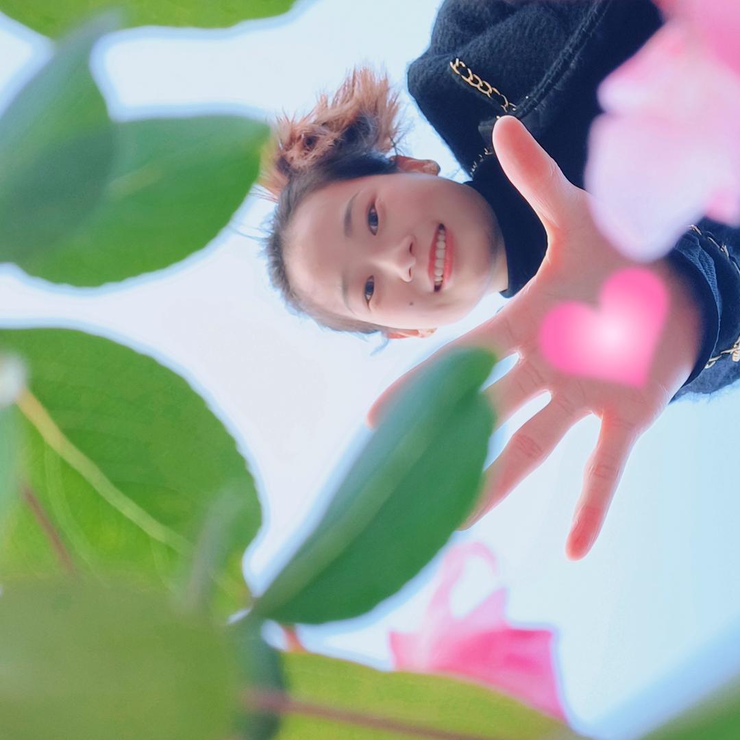 韩乖乖