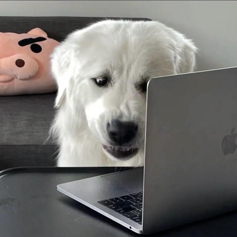 爱上班的黑大帅