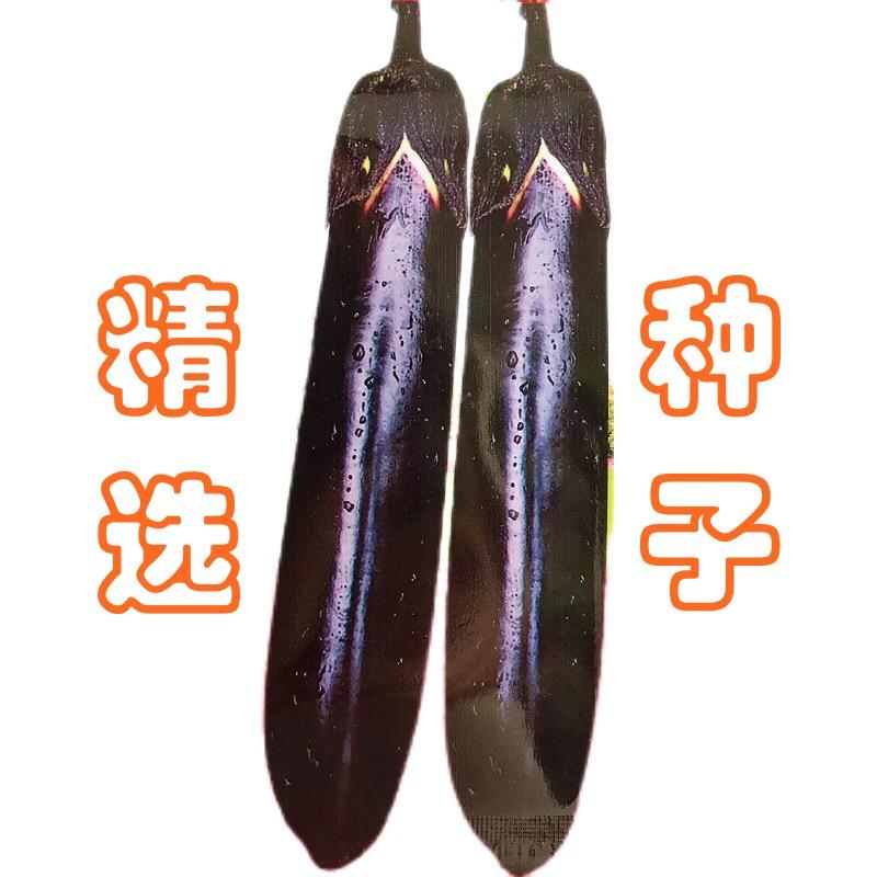 禾合种业