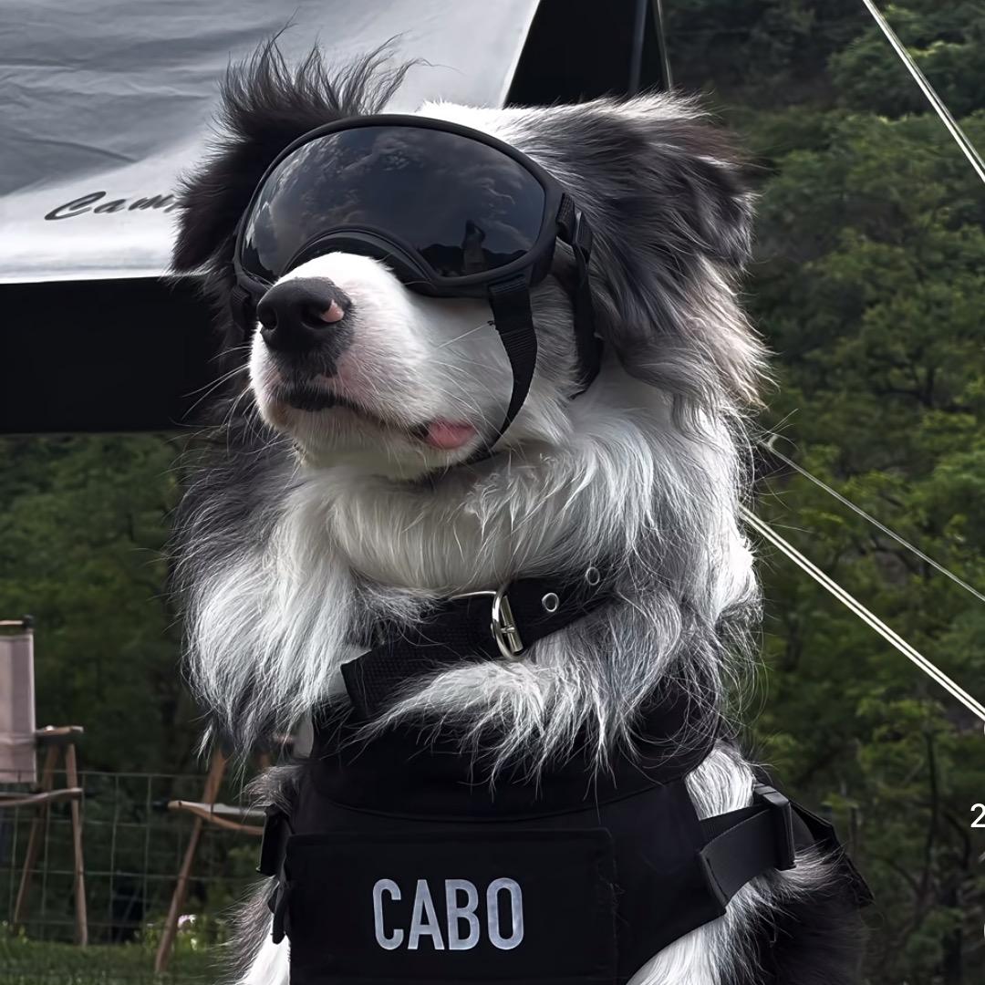 卡布Cabo