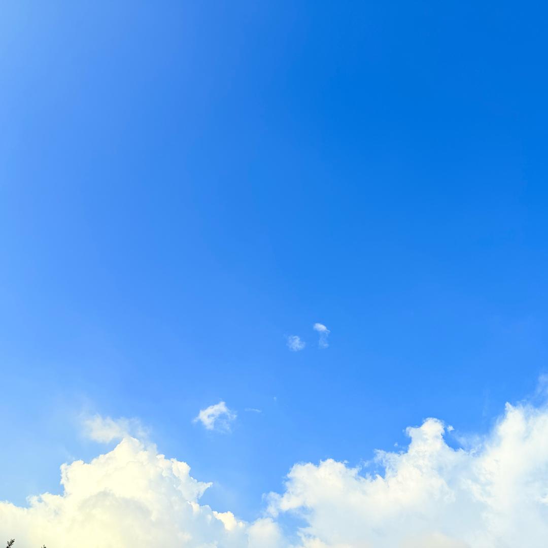 海阔天空2332