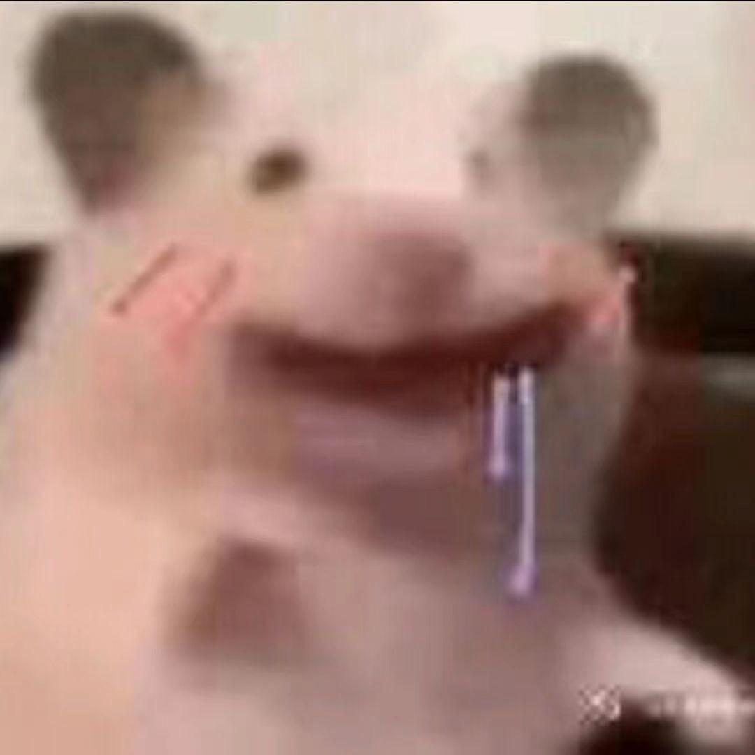 傻妞