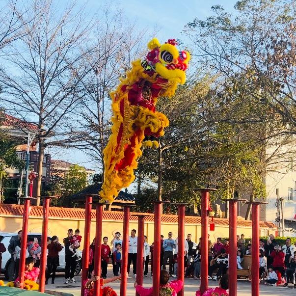 兴宁陳林龙狮团（接商演）