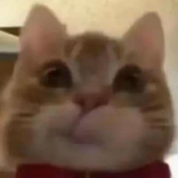 略略略略略略