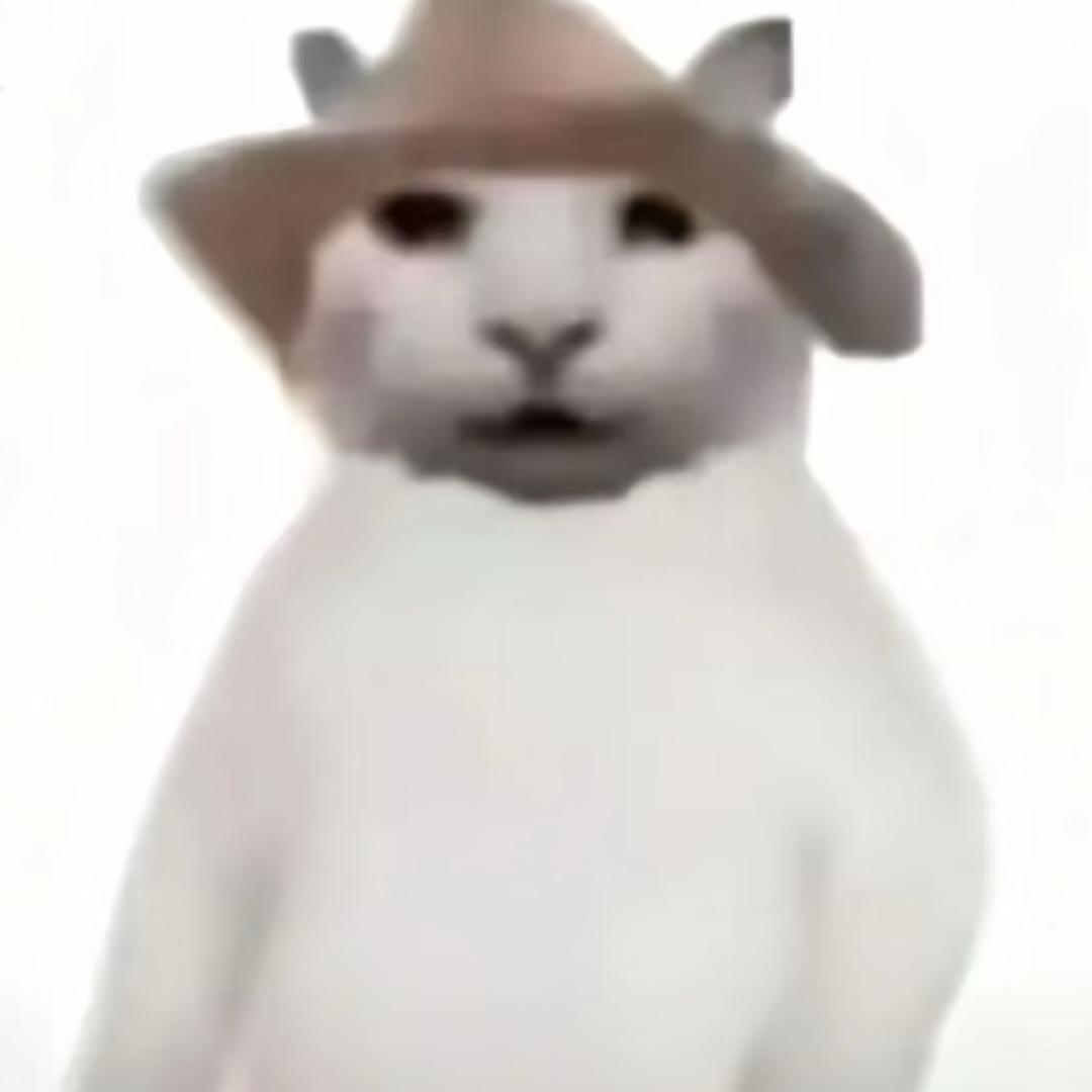 干嘛猫