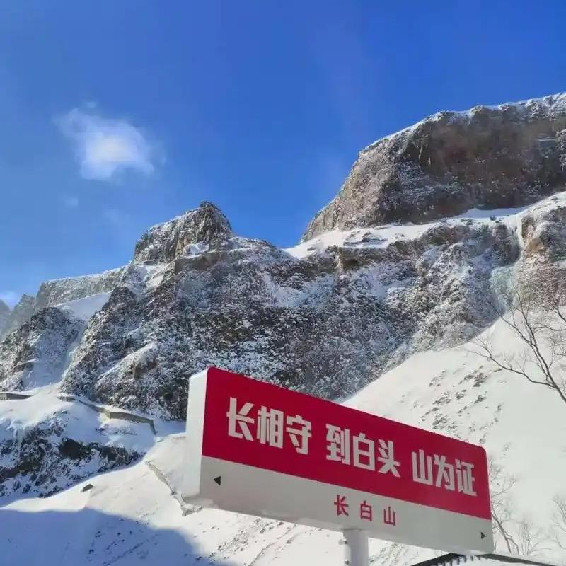 长白山特产