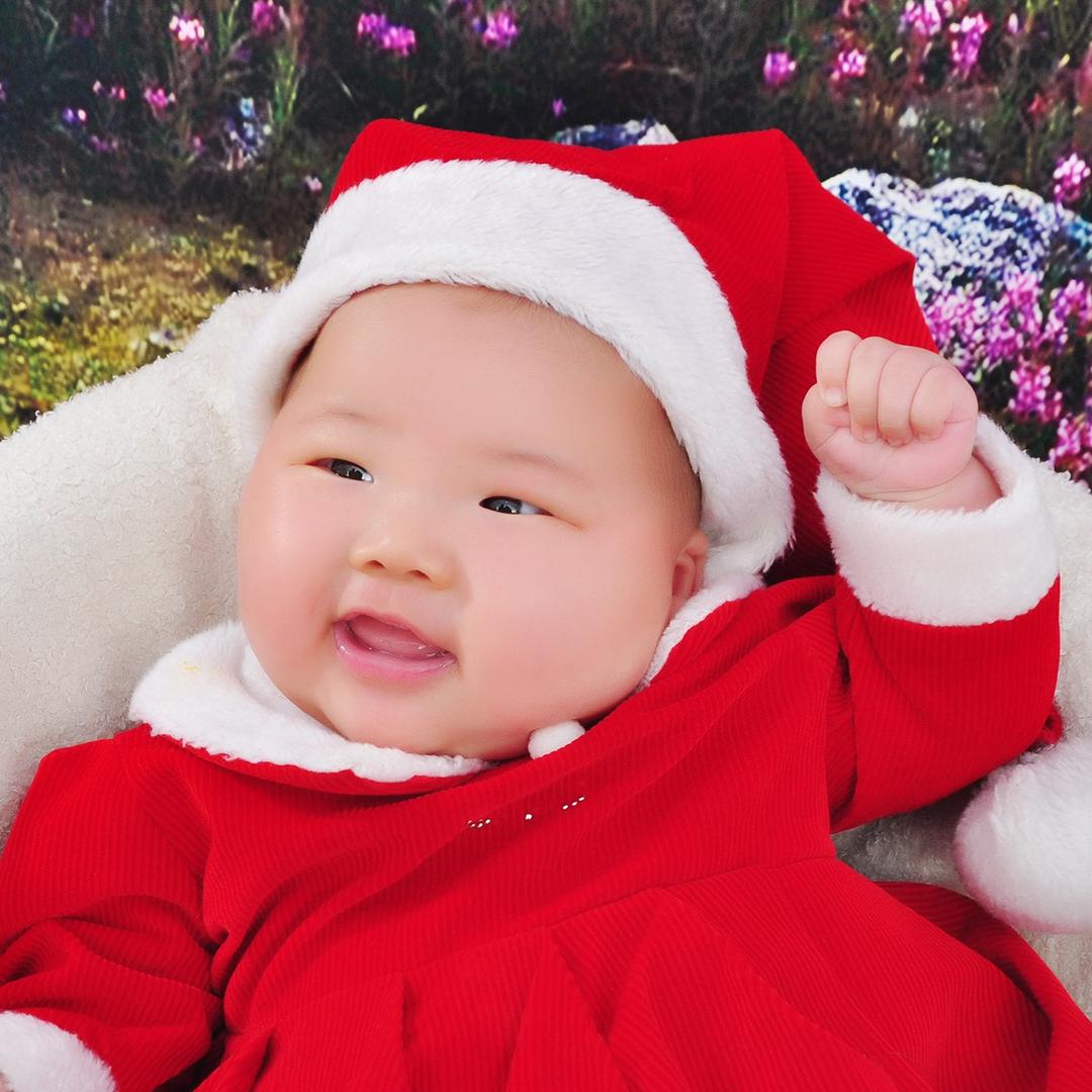 小麦苗