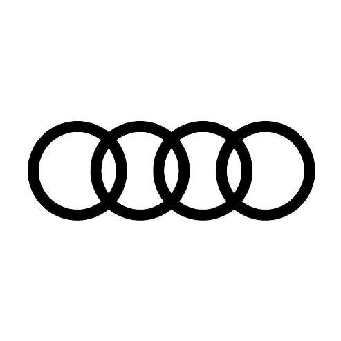 一汽奥迪新能源-沭阳天泓