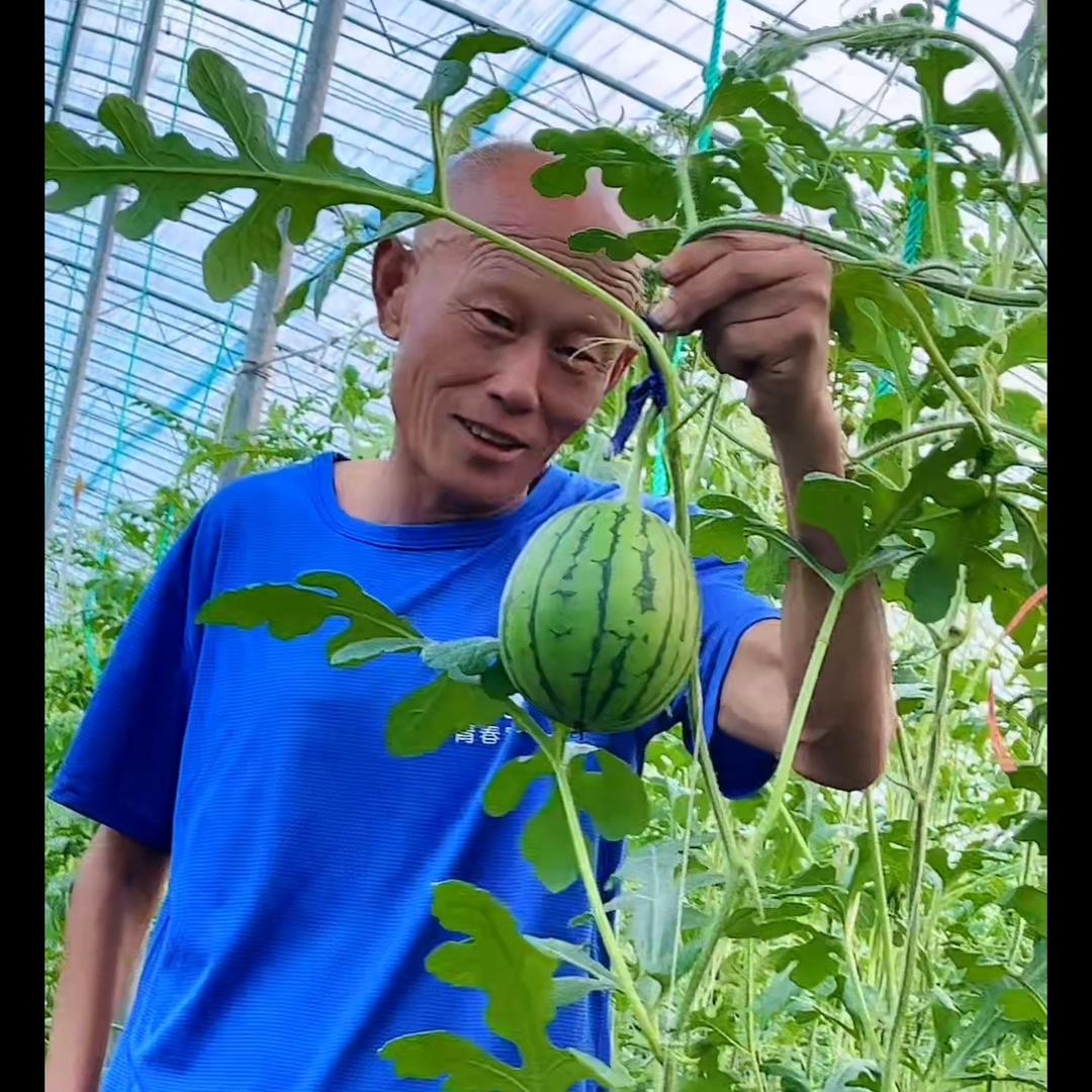 光头西瓜哥